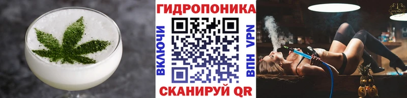 как найти закладки Советск Cannafood марихуана
