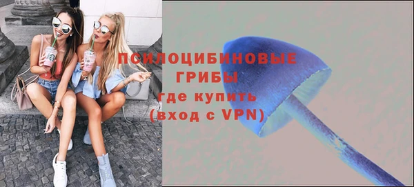 не бодяженный Ветлуга